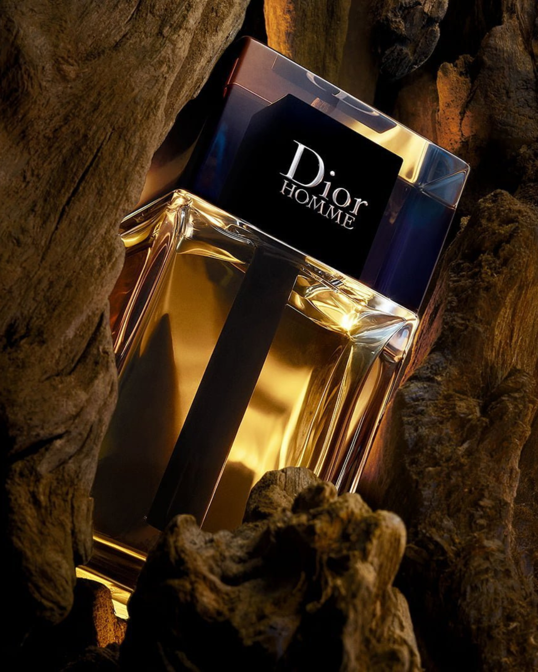 Dior Homme Intense